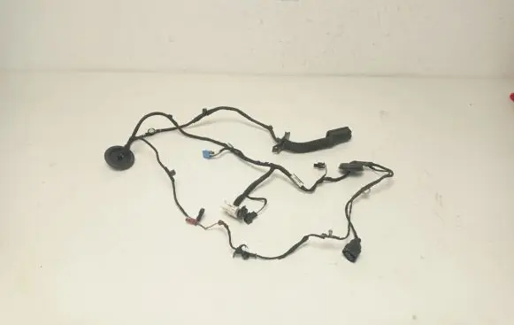 Audi A4 S4 B9 Other wiring loom 8W0971029BD