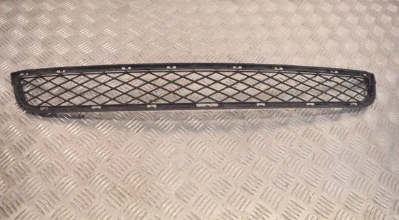 BMW X3 F25 Front bumper lower grill 7210462