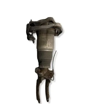Porsche Cayenne (9PA) Front air suspension shock absorber 