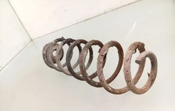 Rear coil spring