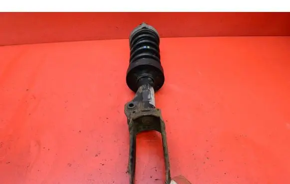 Porsche Cayenne (9PA) Front shock absorber/damper 