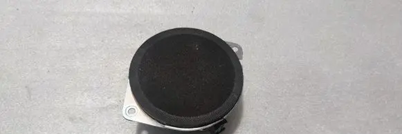 Panel speaker