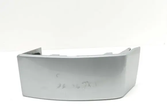 Rear/tail light trim molding