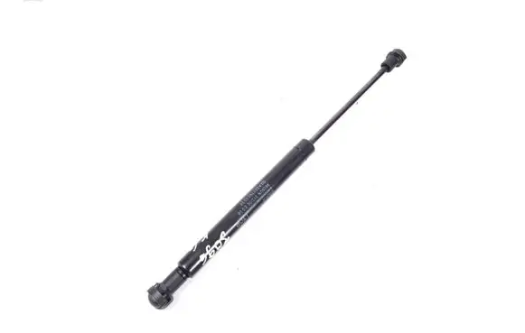 Tailgate strut
