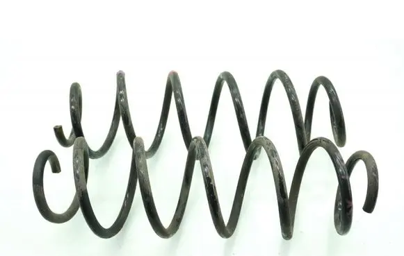 Rear coil spring