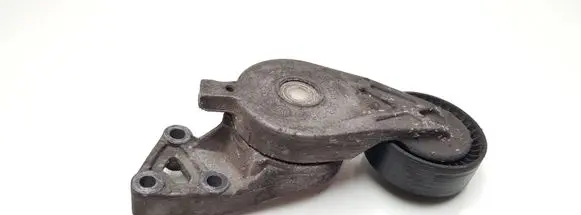 Seat Alhambra (Mk1) Generator/alternator belt tensioner 038903315