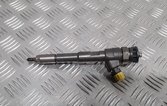 Renault Kangoo II Fuel injector 0445110485 H8201108033