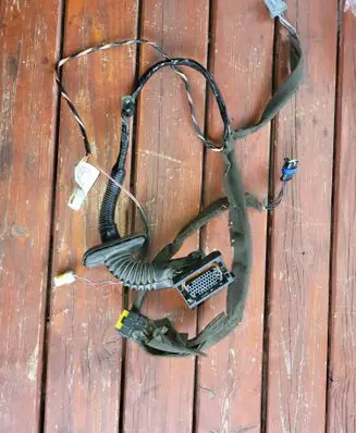Renault Scenic II - Grand scenic II Front door wiring loom 8200235825