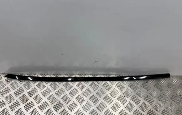 Mini Countryman U25 Front door trim (molding) 5A195E4