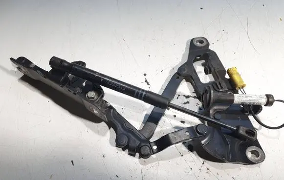 BMW 6 F06 Gran coupe Engine bonnet/hood hinges 7249887