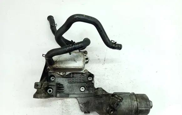 Chevrolet Captiva Oil filter mounting bracket 25192110 0003