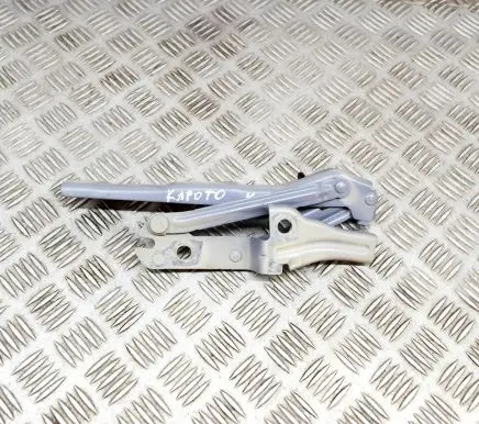 Volkswagen ID.3 Engine bonnet/hood hinges 10A823301A