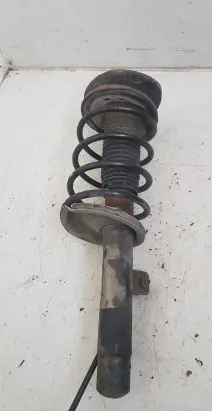 Peugeot 206 Front shock absorber with coil spring