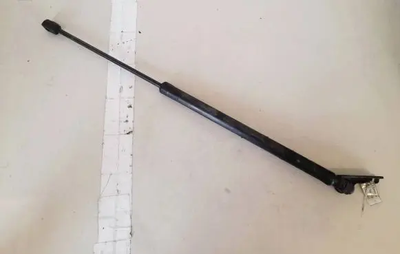 Tailgate/trunk strut/damper