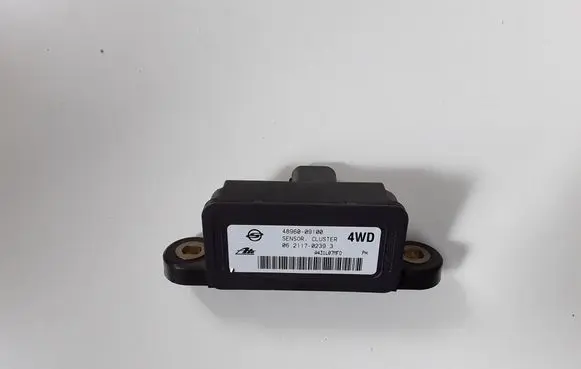 SsangYong Rexton ESP (stability system) control unit 4896009100