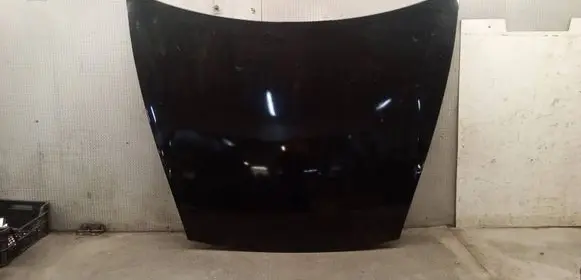 Porsche Cayenne (9PA) Engine bonnet/hood 
