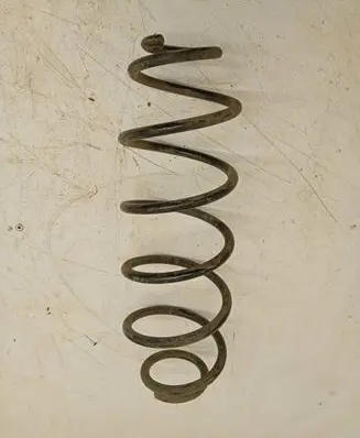 Toyota Auris 150 Rear coil spring
