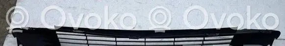 Tesla Model 3 Front bumper lower grill 108592700C 1085927