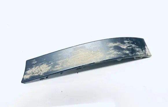 Rear/tail light trim molding