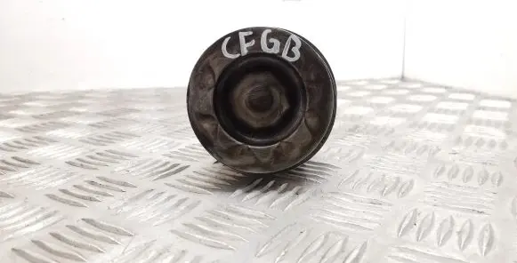Piston with connecting rod
