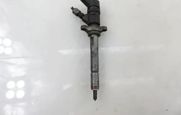 Citroen C4 I Fuel injector 0445110239