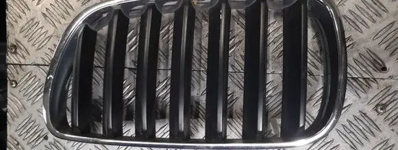 BMW X3 E83 Front bumper upper radiator grill 420087