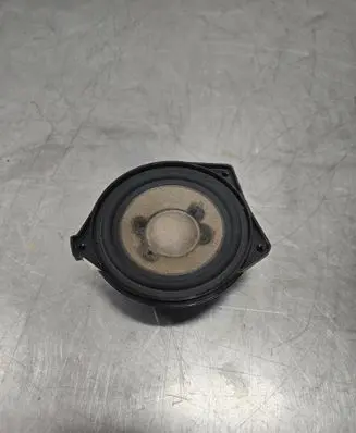 Panel speaker