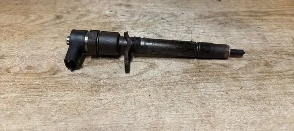 Volvo V70 Fuel injector 0445110251