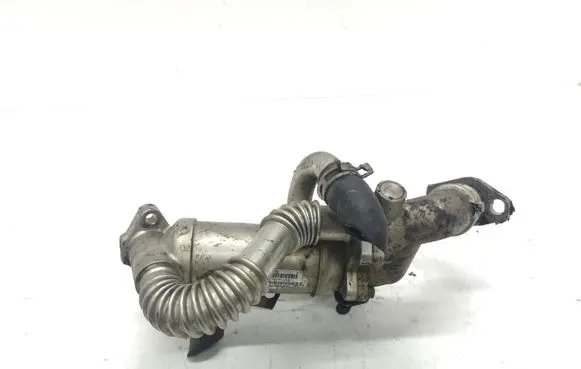 Renault Megane II EGR valve cooler