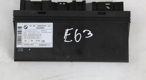 BMW 5 E60 E61 Voice control module 6947919