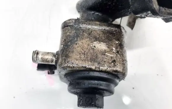 Volkswagen Golf IV Engine oil radiator 