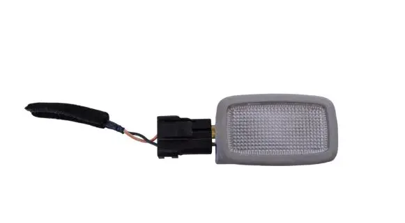 Hyundai H-1, Starex, Satellite Front seat light