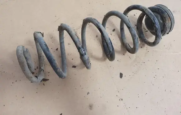 Seat Leon (1M) Rear coil spring