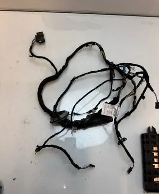 BMW 1 F20 F21 Front door wiring loom/harness boot 9287443 19344411