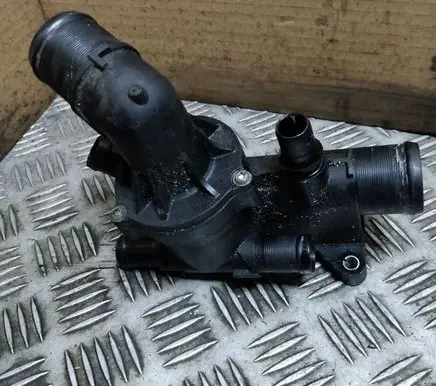 Thermostat/thermostat housing