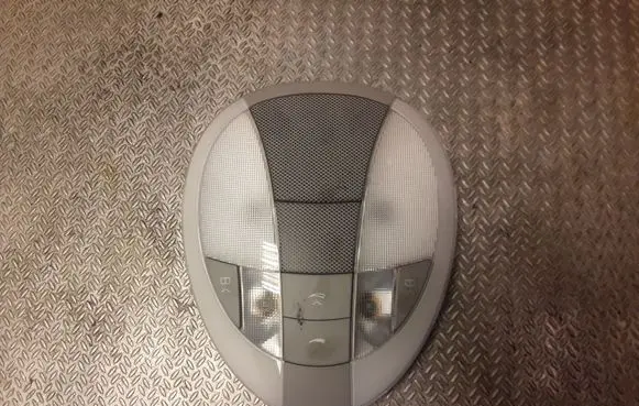 Mercedes-Benz CLS C219 Front seat light 2198201101 A2198201101