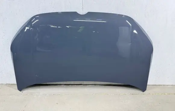 Engine bonnet/hood
