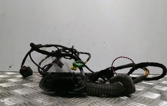BMW 5 E60 E61 Front door wiring loom 6925924