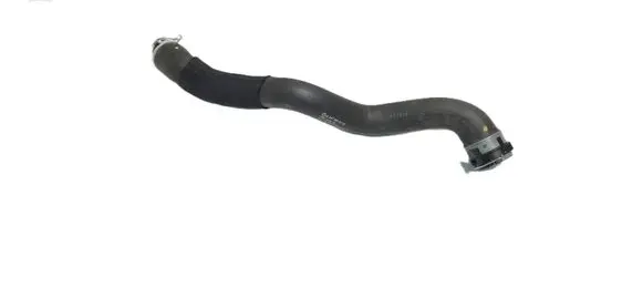 Mercedes-Benz A W177 Engine coolant pipe/hose A2475010182 38212