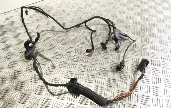 Rear door wiring loom