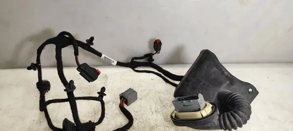 Chrysler 200 Rear door wiring loom P68239488AA