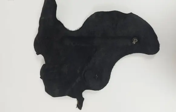 Heat shield in engine bay