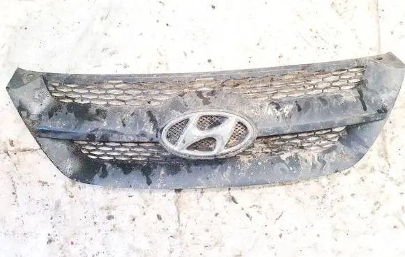 Hyundai Sonata Front grill
