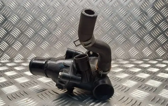 Thermostat/thermostat housing