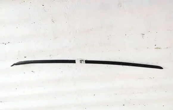 Front door glass trim molding