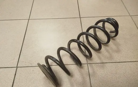 Rear coil spring