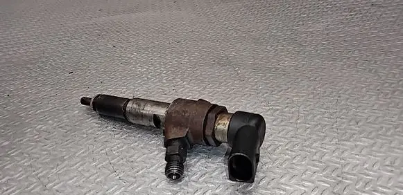Peugeot 207 Fuel injector 9654551080