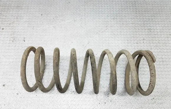 Land Rover Discovery Front coil spring