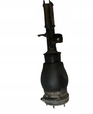 BMW X5 E53 Front shock absorber with coil spring 22247002