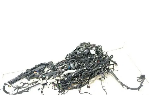 Other wiring loom